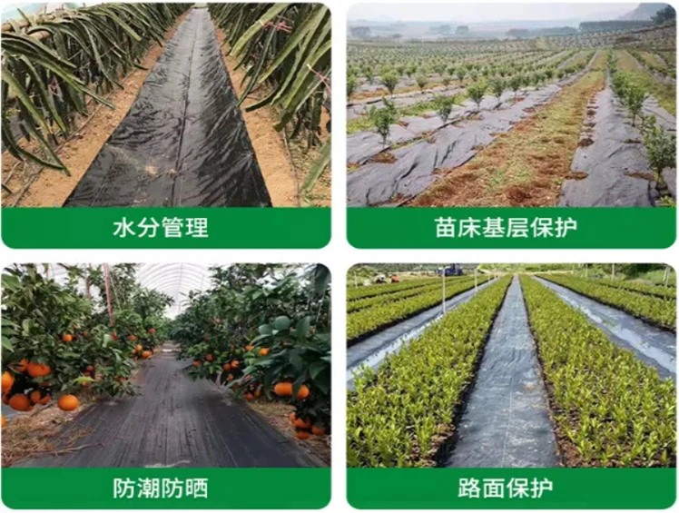 Non Woven Fabric Weed Mat PP Woven Weed Mat Landscape Fabric Agricultural Plastic Products