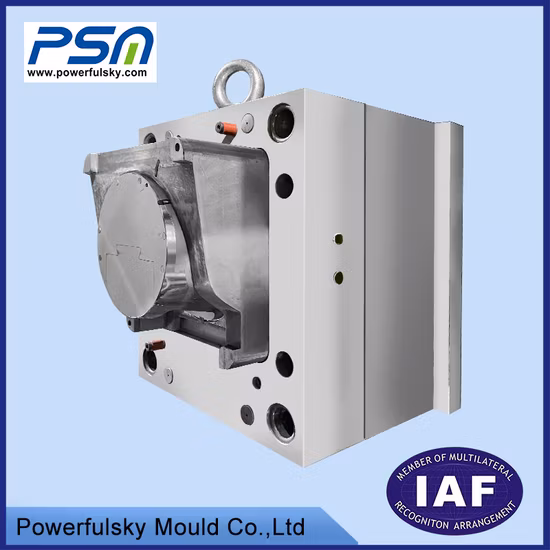 ABS/PC/PA66/POM/TPU/PP/PVC/Pet/HDPE 사출 금형 부품 플라스틱 사출 성형 제품